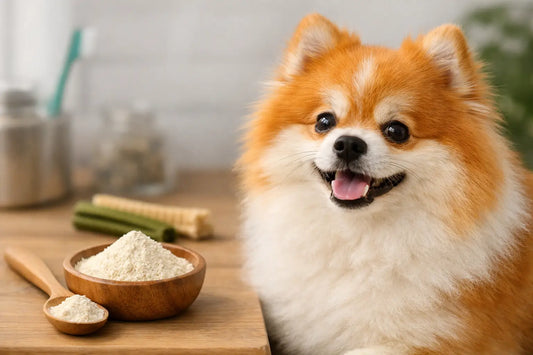 Tartar Powder for Dogs: Does It Help?