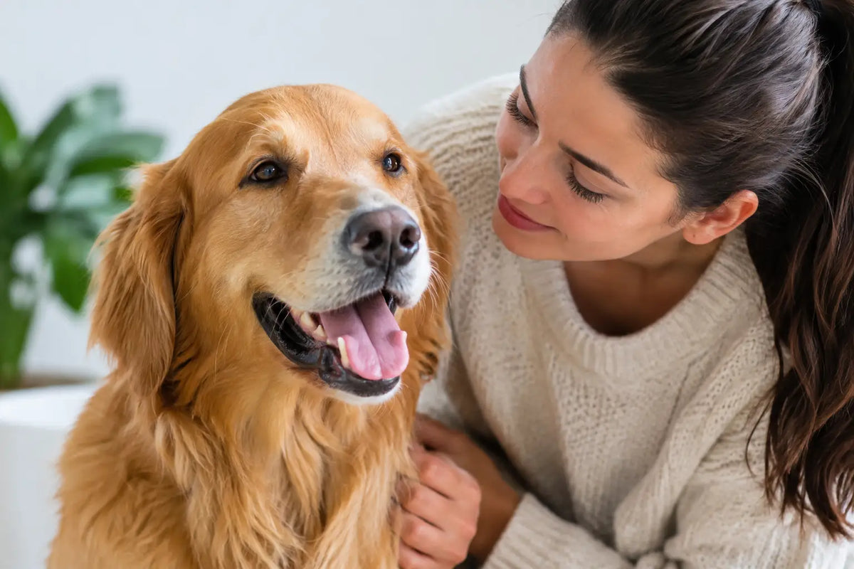 Why Does Dog Breath Smell? Causes and Next Steps