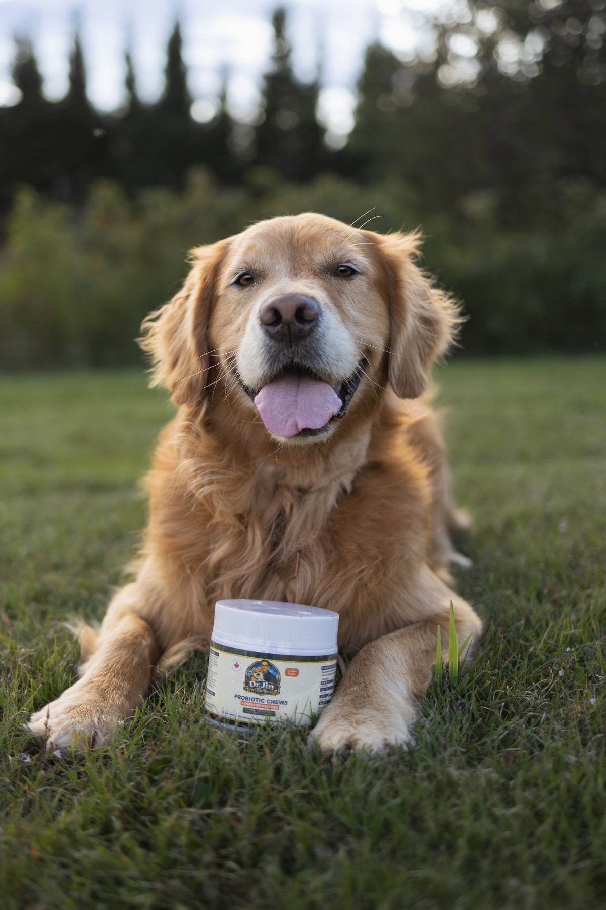 Complete Probiotic & Digestive Enzymes for Dogs 100 Soft Chews