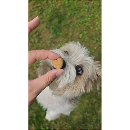 Immune Support Chews for Dogs 100 Soft Chews