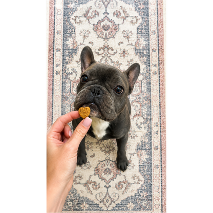Hip & Joint Chews for Dogs 100 Soft Chews