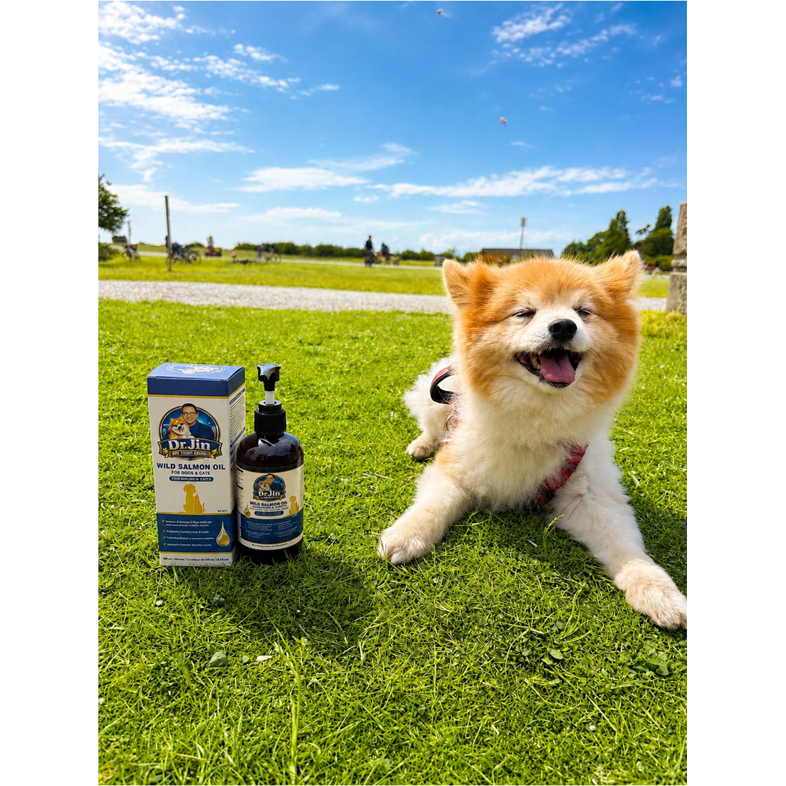 Wild Salmon Oil for Dogs & Cats 236 mL