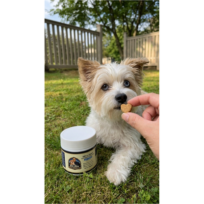 Hip & Joint Chews for Dogs 100 Soft Chews