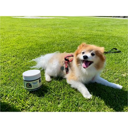 Hip & Joint Chews for Dogs 100 Soft Chews