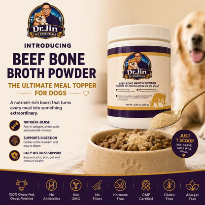 Dr. Jin Beef Bone Broth Powder for Dogs | Premium Meal Topper & Savory Broth Mix | 300 g