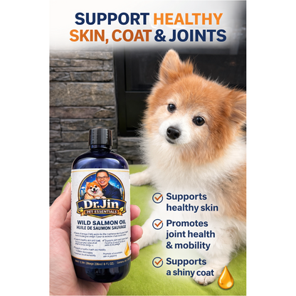 Dr. Jin Wild Salmon Oil for Dogs & Cats 236mL