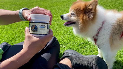 Hip & Joint Chews for Dogs 100 Soft Chews