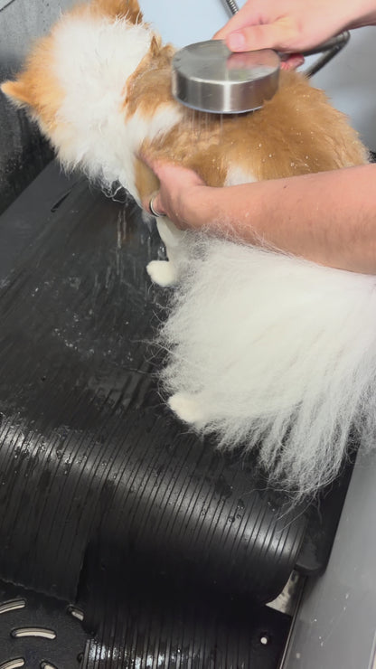Natural Oatmeal & Aloe Shampoo for Dogs 500mL
