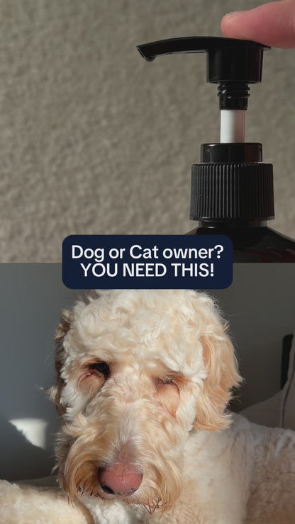 Wild Salmon Oil for Dogs & Cats 236 mL