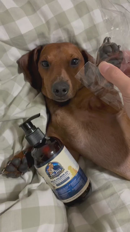 Wild Salmon Oil for Dogs & Cats 236 mL