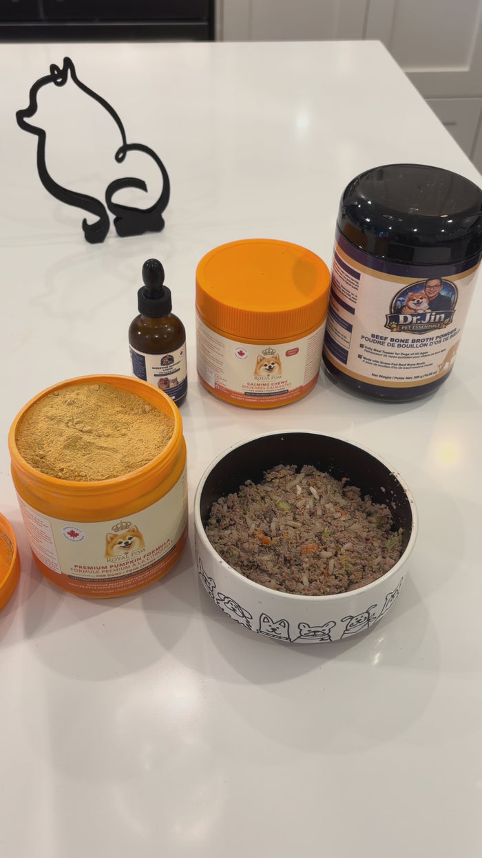 Pumpkin formula easily added to dog food
